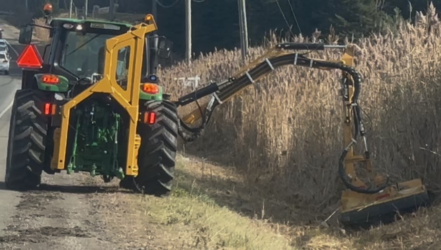 Roadside Cutting